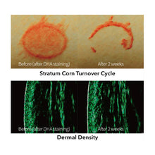 Load image into Gallery viewer, Turnover Ampoule